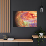 Esme Winterstein - Canvas