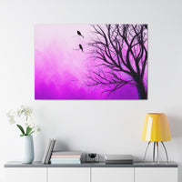 Soleil Knox - Canvas