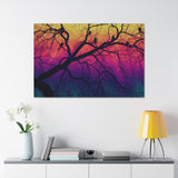 Brooklynne Jones - Canvas