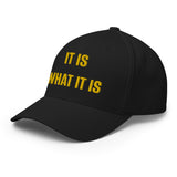 IT IS WHAT IT IS - Fitted