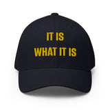 IT IS WHAT IT IS - Fitted