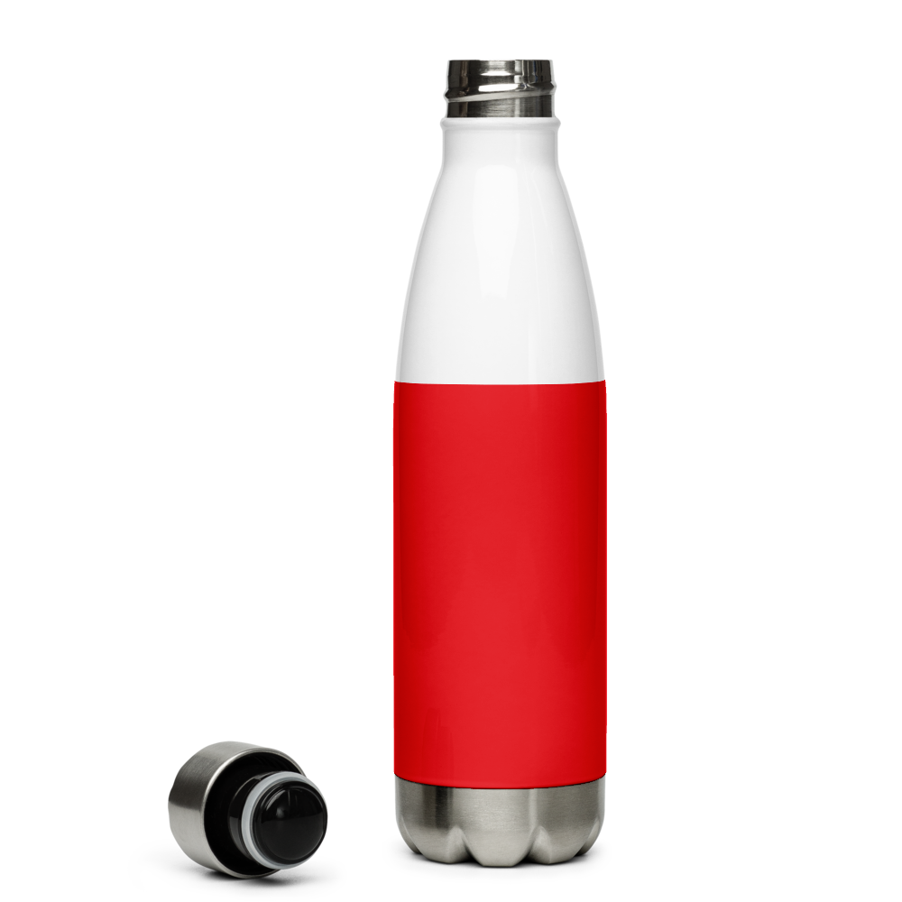 Weekend Forecast Stainless Steel Water Bottle